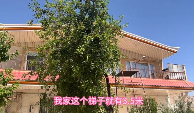 回顾：山东女孩嫁伊朗富二代上街戴头巾生孩子还想加入中国籍(图12)