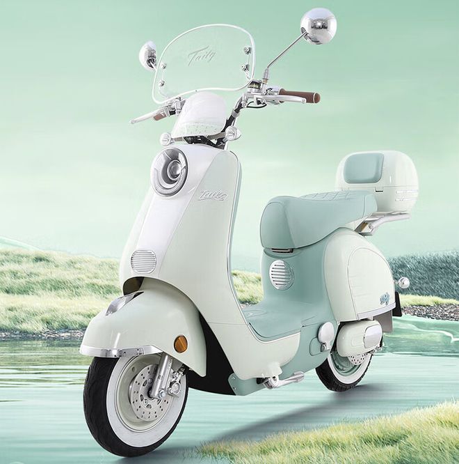 2024电动车“热度榜”前五出炉有的时速70kmh有的续航300km(图6)