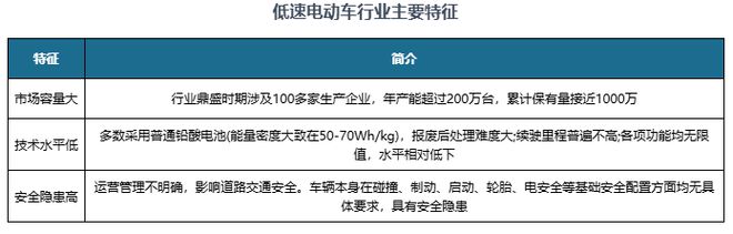 中国低速电动车行业发展深度与投资前景研究报告(2024-2031年)