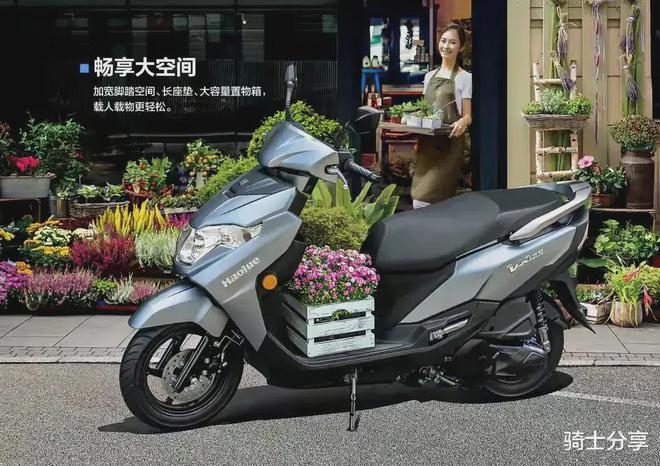 2024年1～10月销售数据来了谁会是第一？哪类车型卖得最好呢？(图3)