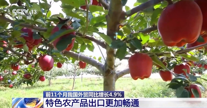 出息了！国产电动三轮车海外“出圈”(图4)
