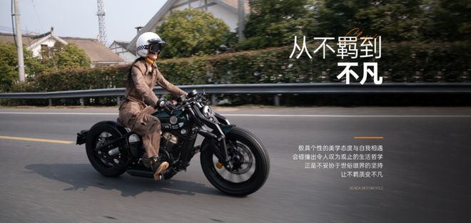双缸三缸甚至四缸涵盖巡航、仿赛和街车！2024年度十大高关注新跨骑哪一款是你的菜？｜2024年度事件④(图5)