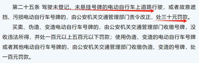 除了戴头盔2025年起电动车上路带好“5大件”不罚不扣(图2)