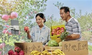 2024三轮车行业发展现状及细分领域产品市场分析(图6)