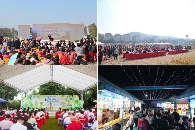 笃行实干拼发展提速成势勇争先——杜阮镇召开2024年度工作总结会议(图3)
