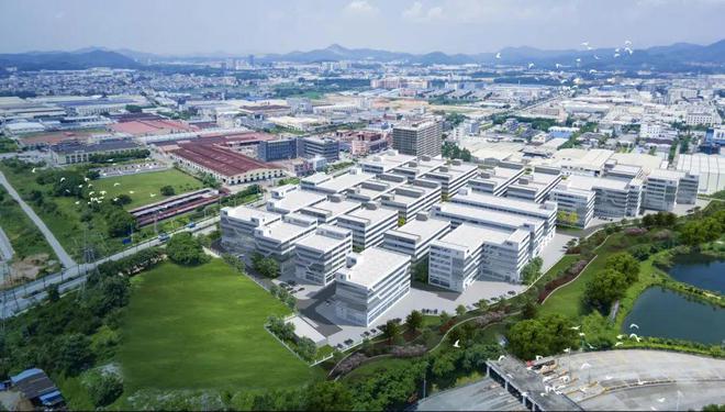 笃行实干拼发展提速成势勇争先——杜阮镇召开2024年度工作总结会议(图2)