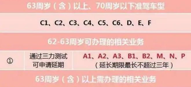 2025年电动车迎来“3大利好”包括换车有补贴、延长考驾照年龄(图3)