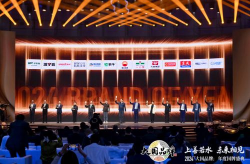 东成电动工具荣获2024《大国品牌》国牌盛典年度品牌(图2)