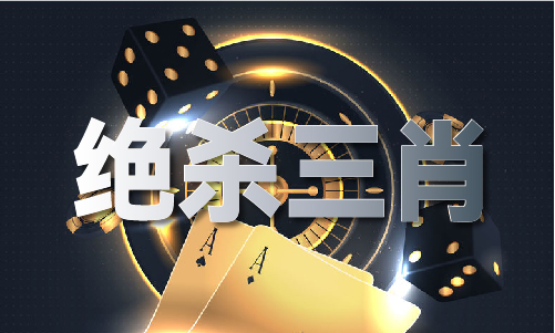 彩民高手资料公开验证