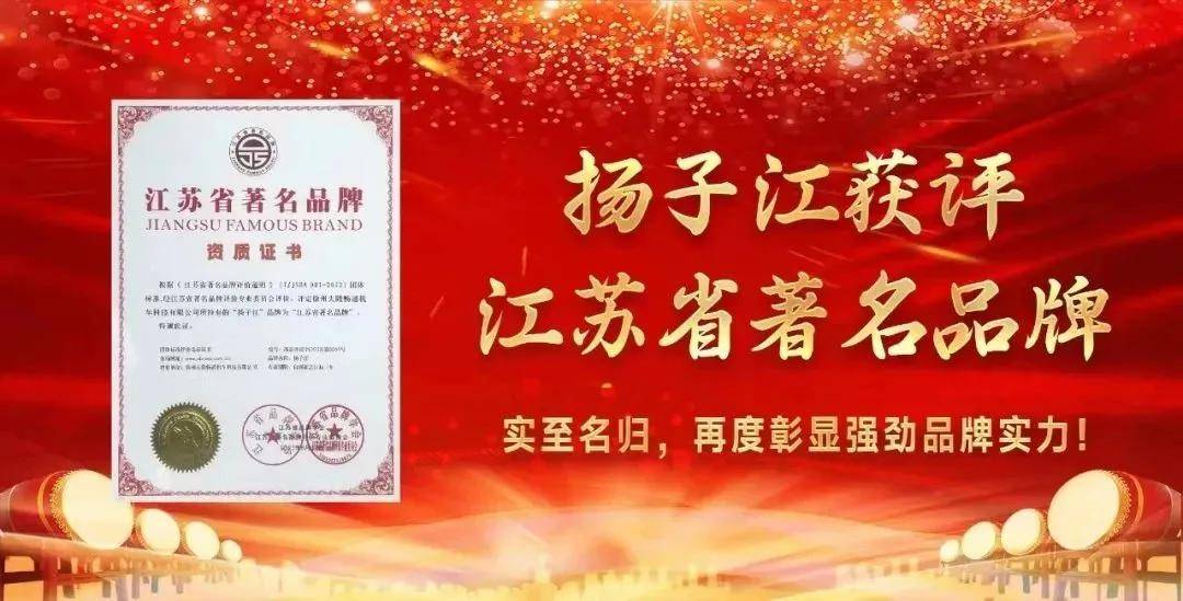 扬子江电三2024全面发力增量市场2025携手渠道破浪前行！(图4)
