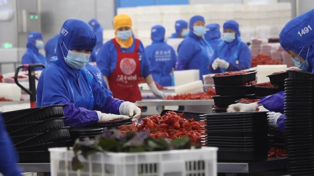 新华视点丨创新驱动焕新局地方产业竞逐高质量发展(图11)