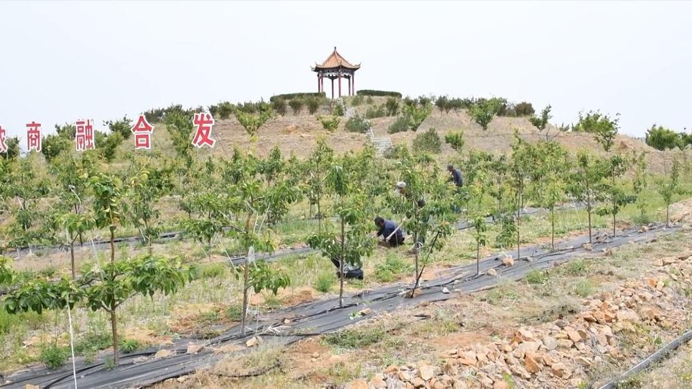 新华视点丨创新驱动焕新局地方产业竞逐高质量发展(图13)