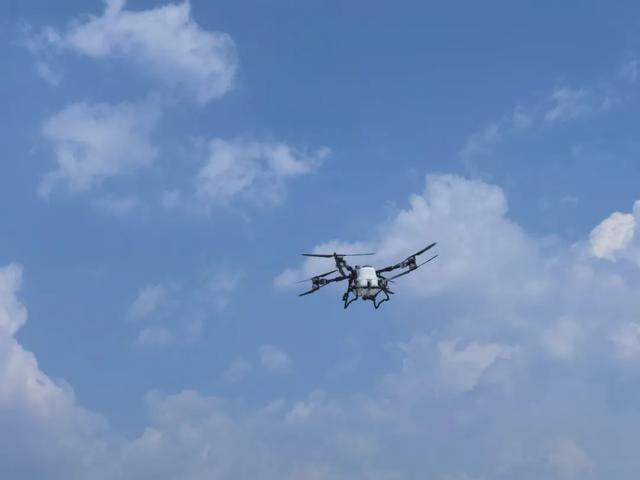 低空版图“彩云之南”从低空起飞