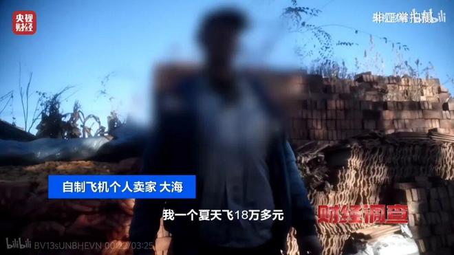 民间神人手搓的“三无飞机”居然真有人敢买回去自己开(图20)