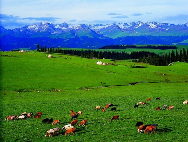 新疆高端旅行社：蒙旅定制化服务+丝路资源行业权威测评榜(图3)