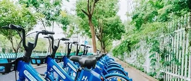 电动车或将淘汰？替代品已出现！不充电不加油冬天也能跑得远(图12)