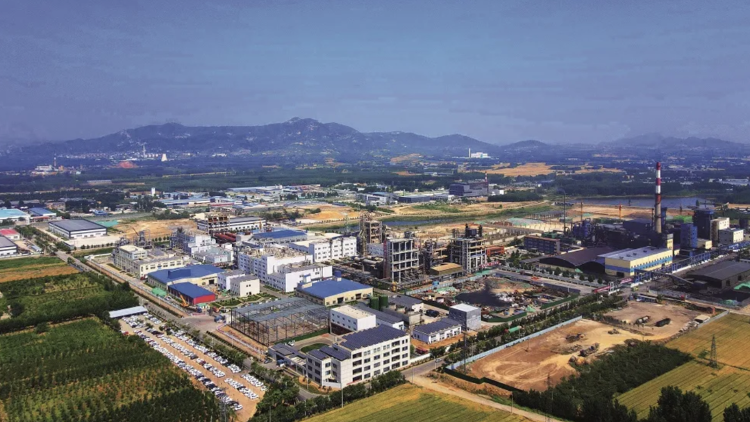 山东锂电：群山屹立谁为峰(图5)