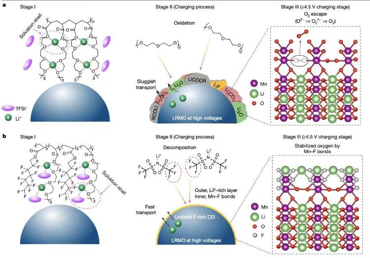山东锂电：群山屹立谁为峰(图8)