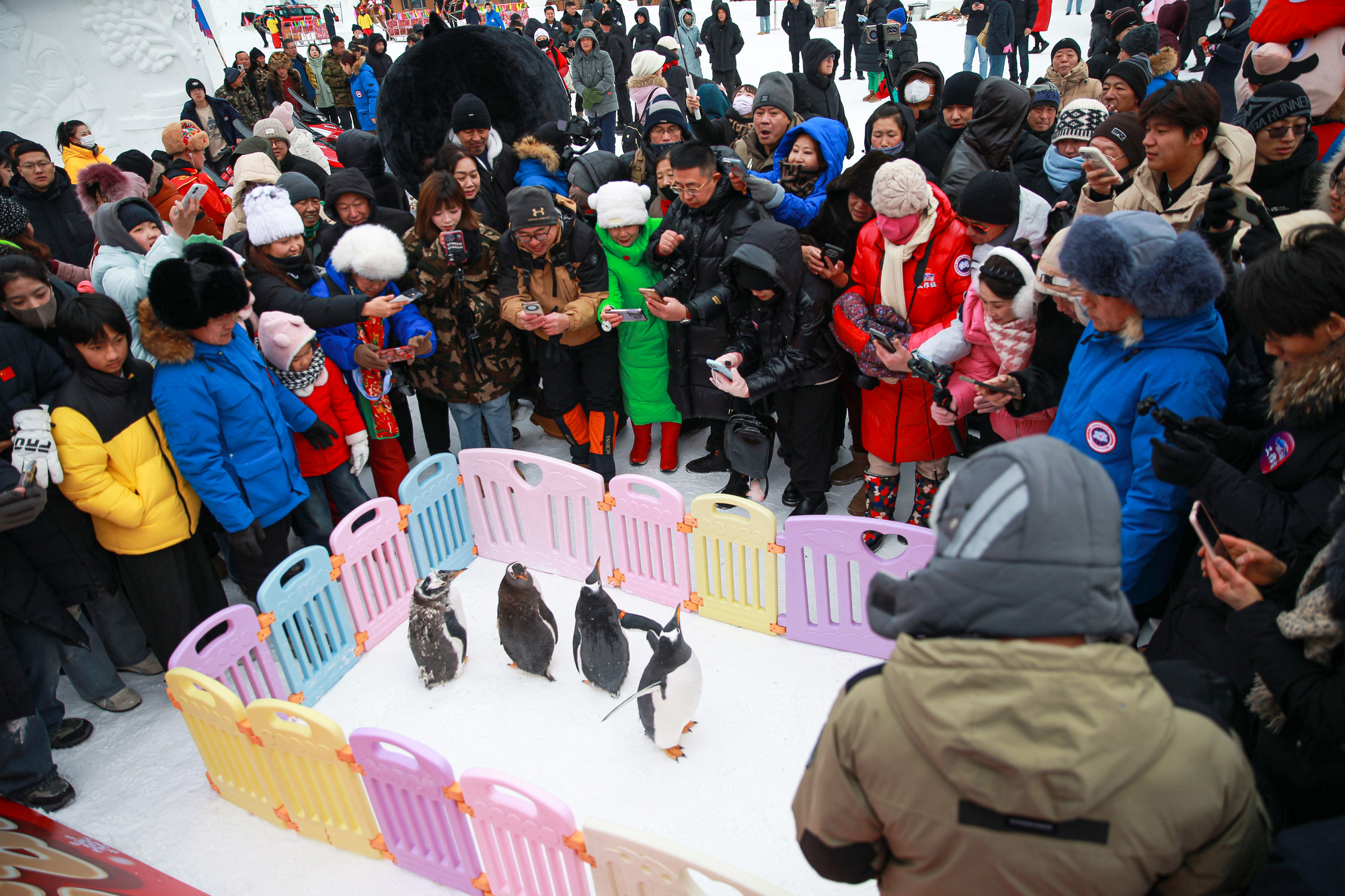 安图：沸腾吧冰雪红石峰！(图3)