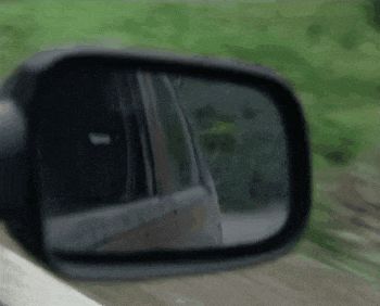 陈光标的劳斯莱斯张雪的摩托车：1500万都给李亚鹏(图6)